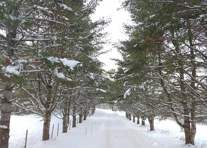 Spacious Country Retreat Close To Town And Nature, Sylvana Farm Vt